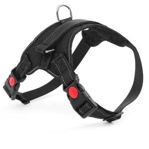 강아지 메쉬 하네스 M 중형견 매쉬 산책줄 여름