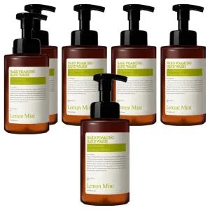 나드 포밍 상시비치 청결제 손세정제 레몬민트 500ml 6개