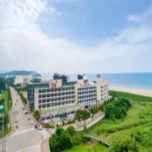 [강원 모텔] 양양 비치콘도 (양양(서피비치,낙산))