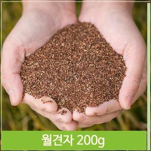몸에좋은 달맞이꽃 씨앗 200g 월견자 여성 영양 건강
