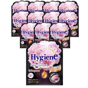 하이젠 방향제 옷장용 차량용 실내용 퍼퓸 방향제 탈취제 향주머니 피오니 블룸 12팩 1박스