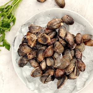 [바다담음] 통영 바지락 1kg