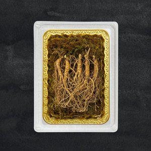 [명가일품] 정품인증 프리미엄 산양삼 장뇌삼 7-9년근/5뿌리