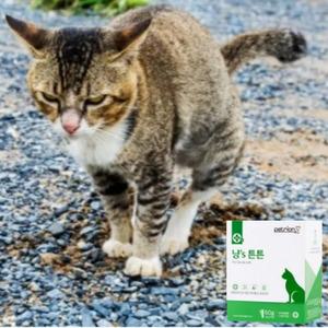 고양이 유산균 펫트리온 냥's튼튼 2g 30포 변비 설사 구토 장 반려묘영양제