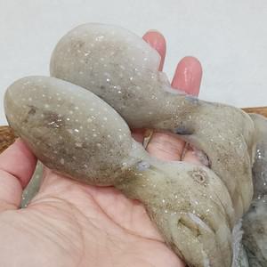 대왕 통쭈꾸미 주꾸미 냉동 1kg