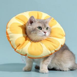 강아지 고양이 넥카라 목 보호 쿠션 중성화 보호대 오렌지 S