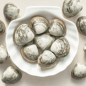 [롯데백화점]인정식탁 오늘의바다 동죽 1kg