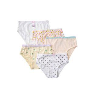 [NS홈쇼핑][블루독타임월드] 올오버5종삼각팬티(25910-511-52)유아,키즈팬티..