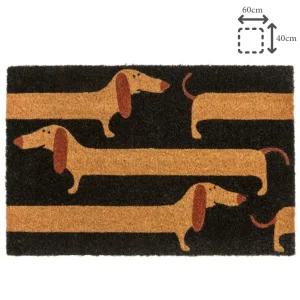 이케아 도어매트 현관 코이어섬유 매트 40x60 아르벳스토그