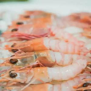 국내산 횟감용 손질 딱새우 150g 10미 15미 20미 25미 선택 급냉 초밥 술안주 캠핑 제철