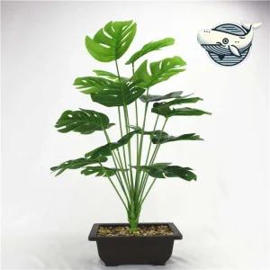 실내조화식물 몬스테라 인테리어 장식용 화분