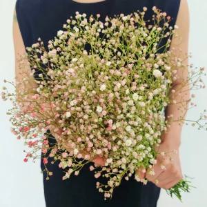 [꽃같은하루] 분홍 안개꽃 한다발 생화 택배 안개 꽃다발 셀프웨딩