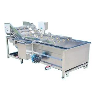 [주문제작가능] 고추세척기 2m 라인 신농 자동화 고구마 청소 생산라인 주문제작가능 주문제작고추세척기