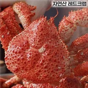 한농식 자연산 스노우 레드크랩 3마리(약 1.2kg 남극 인근 해역100%자연산크랩