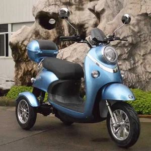 세발 전동스쿠터 삼륜 어르신 출퇴근 미니벨로 1000w