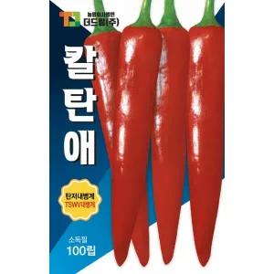 더드림 칼탄애 고추씨앗 고추종자 현존하는 내병계 품종의 끝판! 극대과종 고추씨 가