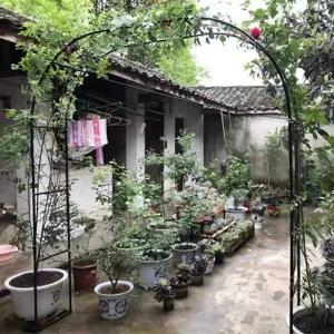 아치 지지대 장미 펜스 테라스 덩굴 넝쿨 철제 화단