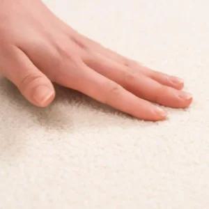 로티캠프 힐하우스 캠핑 텐트 러그 카페트 2장 구성