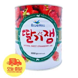 [얌얌마켓] 블루힐 딸기잼 3kg 진산푸드 대용량 업소용 통조림 캔 딸기쨈