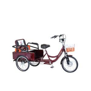 회색 기본형 삼륜전기자전거 세발 전기자전거 자전거 마실 전기 성인용 Q3