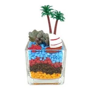 여름 다육식물 재배 화분 만들기 박스