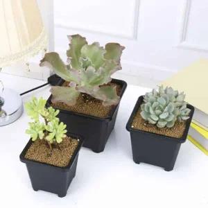 선인장 다육이 화분 사각 포트 인테리어 소품