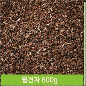 몸에좋은 달맞이꽃 씨앗 600g 월견자 여성 영양 건강