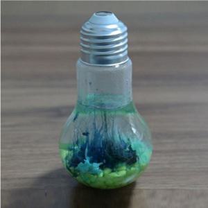 LED화학정원만들기(전구형)(6인용)/금속염/삼투압/전구병