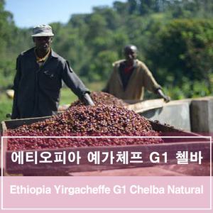 갓볶은 원두커피 에티오피아 예가체프 첼바 G1 내추럴 500g