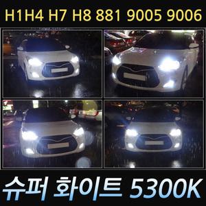 그랜드카니발 올뉴카니발 전조등 헤드라이트 보쉬 할로겐전구 차량용전구