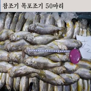 참조기 조기 1박스 50 마리 목포조기