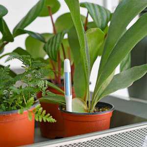 마이플랜트 SUSTEE 서스티 물주기 알리미 홈가드닝 식물 토양 수분계 수분측정기