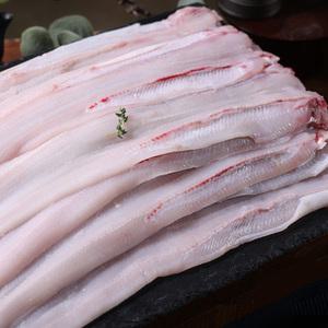 통영 자연산 바다 장어 국내산 3팩 6팩 장어구이