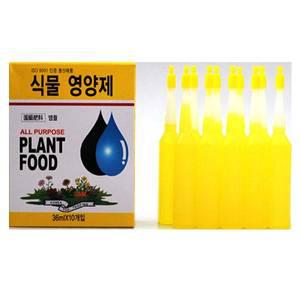 식물영양제 10p 화초 화분 식물활력제 앰플