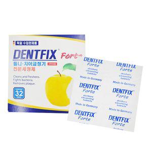 독일 덴트픽스 포르테 32정 틀니 치아교정기세척 세정제 보관