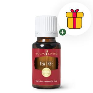 영리빙 티트리 에센셜오일 15ml 글로벌넘버원 에센셜오일 선물팡팡