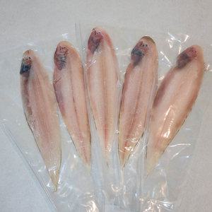 반건조 박대 5미