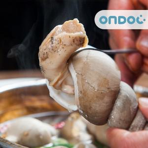 [온도씨]국내산 동해안 통 백골뱅이 2kg 중-대 40-60미)