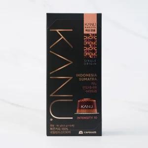 동서 카누 바리스타 인도네시아 수마트라 95g