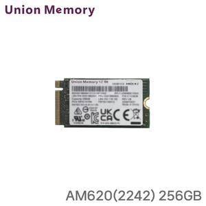 ND Union Memory AM620 (2242) 256GB M.2 NVMe 벌크/ 미사용