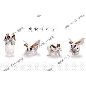 오리지널 에포크 가샤폰 푸들 누에 나방 시뮬레이션 Q버전 애니메이션 액션 피규어 모델 장난감, 크리스마