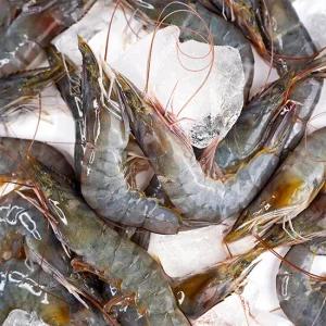 신선한 급냉 신안 흰다리새우 1kg (40미 내외)