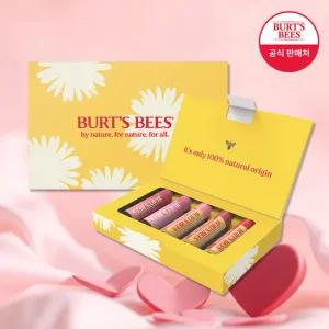 버츠비 러블리 립밤 5종 세트