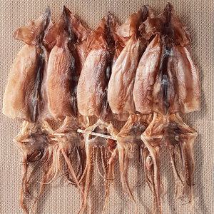 국산 마른 건조 말린 건 오징어 5미 300g