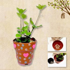 [BZJKUQSY_4A]만들기대장 식물심기 화분