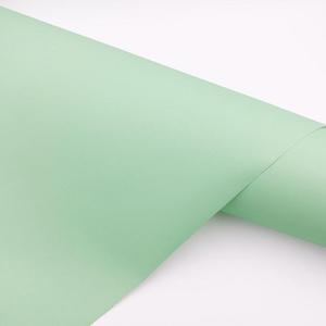 [BZJKQEON_4A]단색벽지 쉽게시공 민트 샤르망