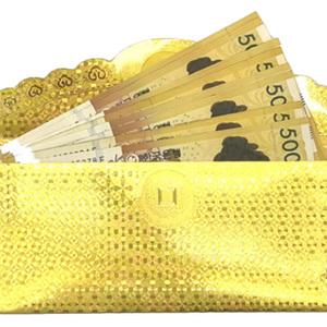 황금색 용돈봉투 2P 어버이날 부모님 용돈카드 골드바