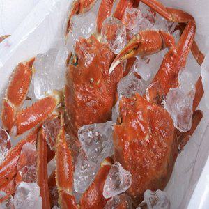[신세계라이브쇼핑]특A급 러시아 자숙 대게 찜 박달대게 선주 산지직송 5kg(4-5미)