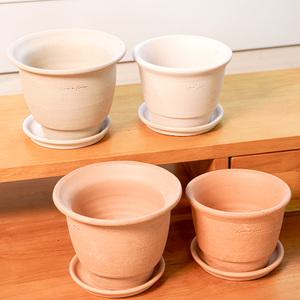 갑조네 앙비까사 베트남 힐스 토분