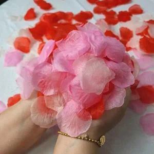 [셀러허브 패션][JHQS8H9H_4B]100장 프로포즈꽃가루 웨딩 이벤트 프로포즈